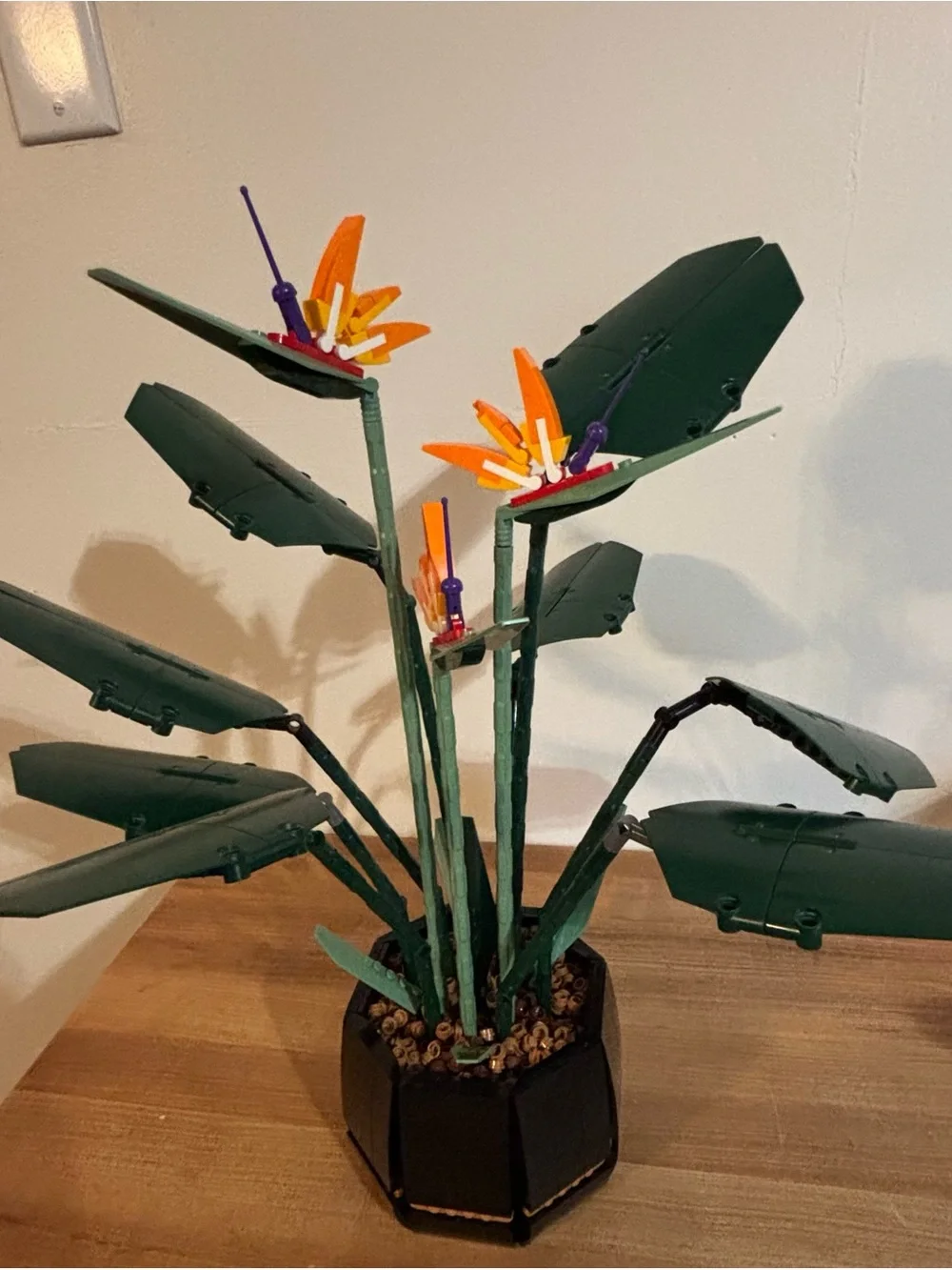 LEGO Botanicals Bird of Paradise 10289 Retired Set